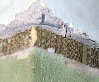 20101118d.jpg